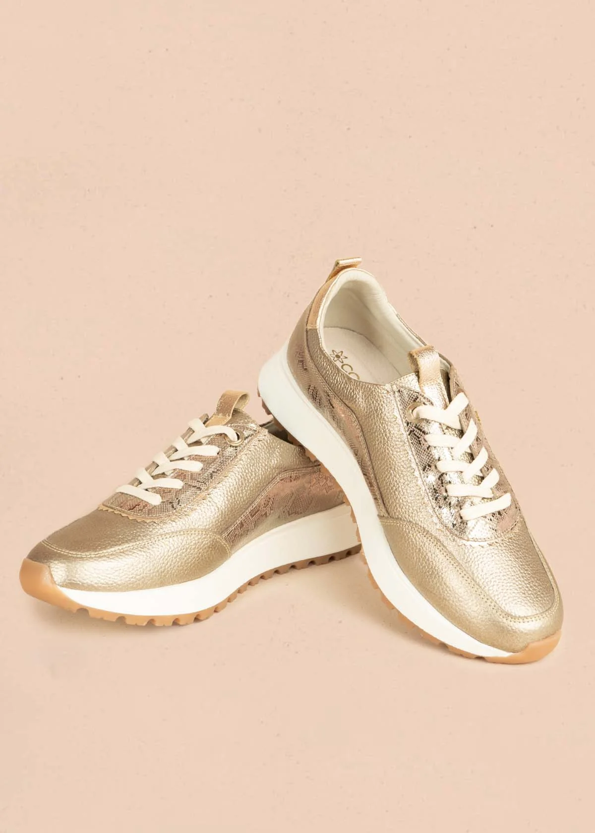 Tenis casuales en cuero color cañón fusil con detalles en dorado 106023 - Image 2
